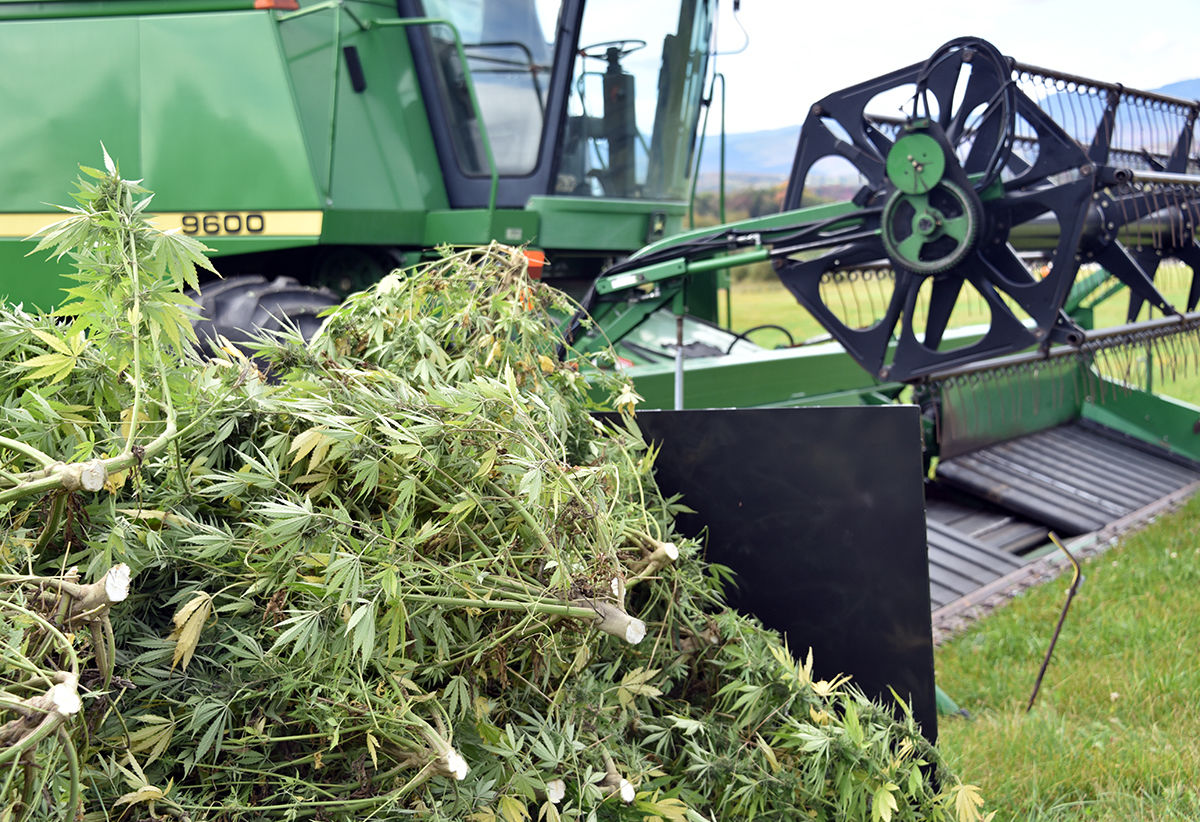 Hemp Harvester